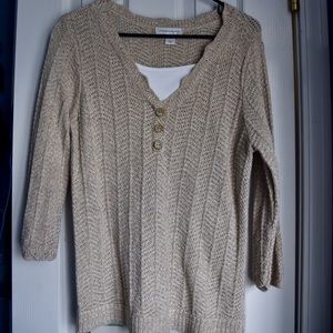 Christopher and Banks sweater